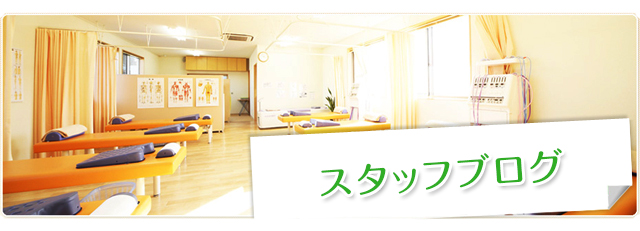 スタッフブログ