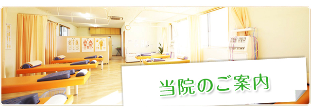 当院のご案内
