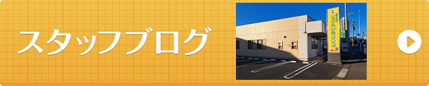 スタッフブログ