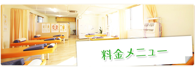 料金メニュー