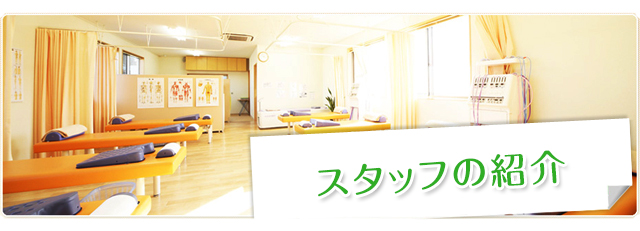 スタッフの紹介