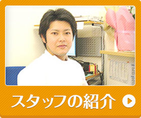 スタッフ紹介